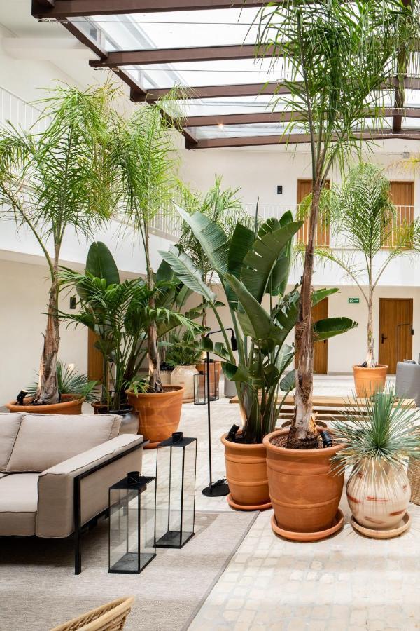 Hotel Porfirio Picota - Adults Recommended Zahara de los Atunes Extérieur photo